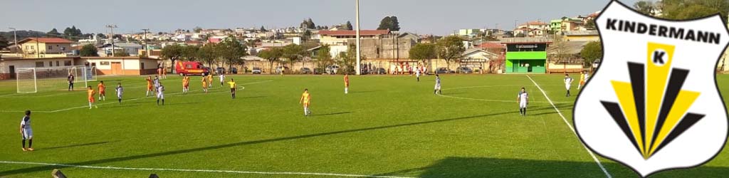 Estadio Edir Prestes Valin